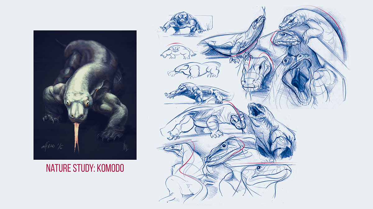 Vehicle collection，yacht，automobile，sample reels，