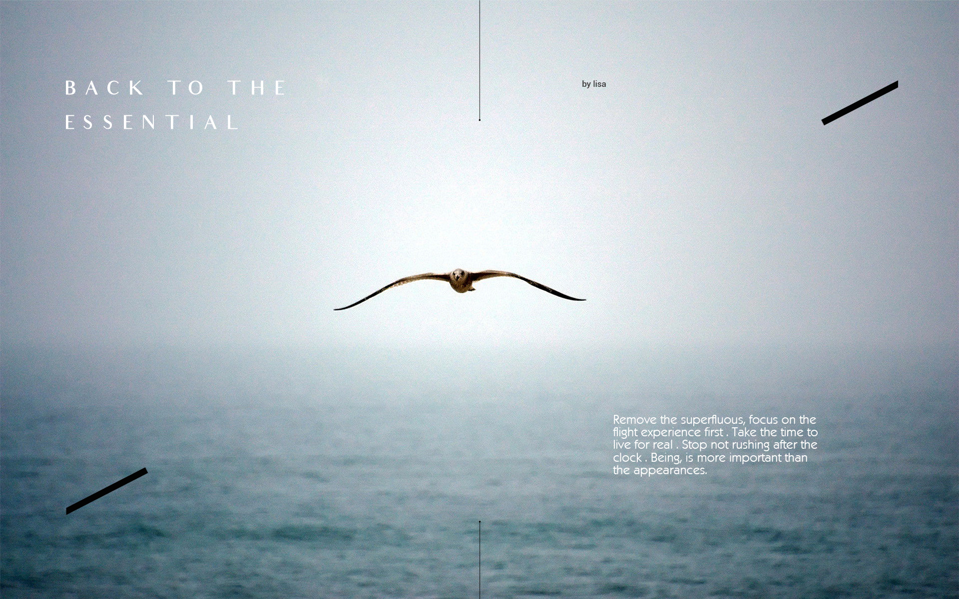 conceptual design，aircraft，L I S A，