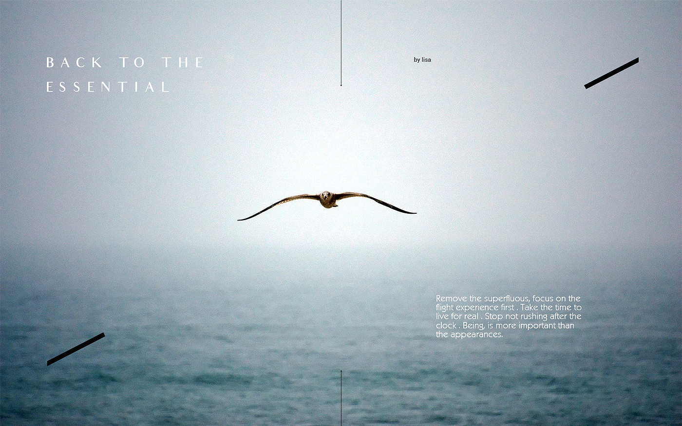 conceptual design，aircraft，L I S A，
