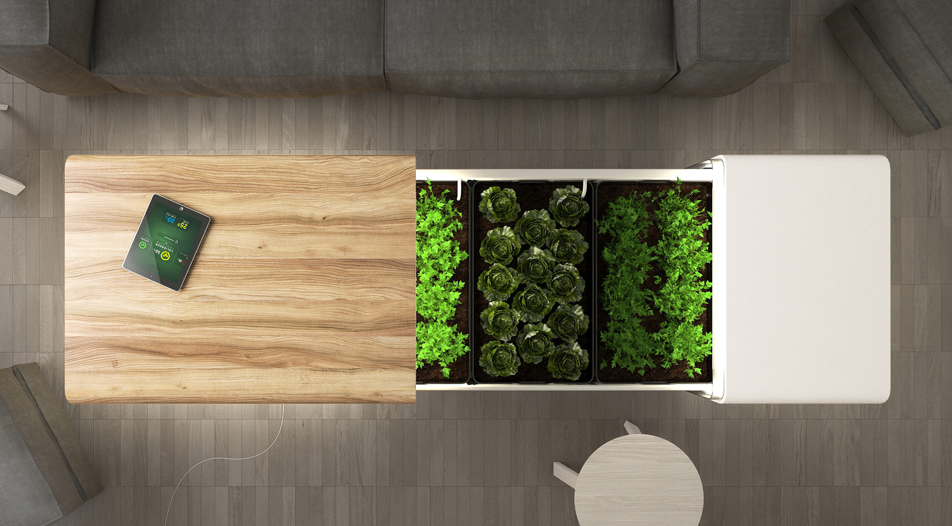 ecological design ，table，SOLE，