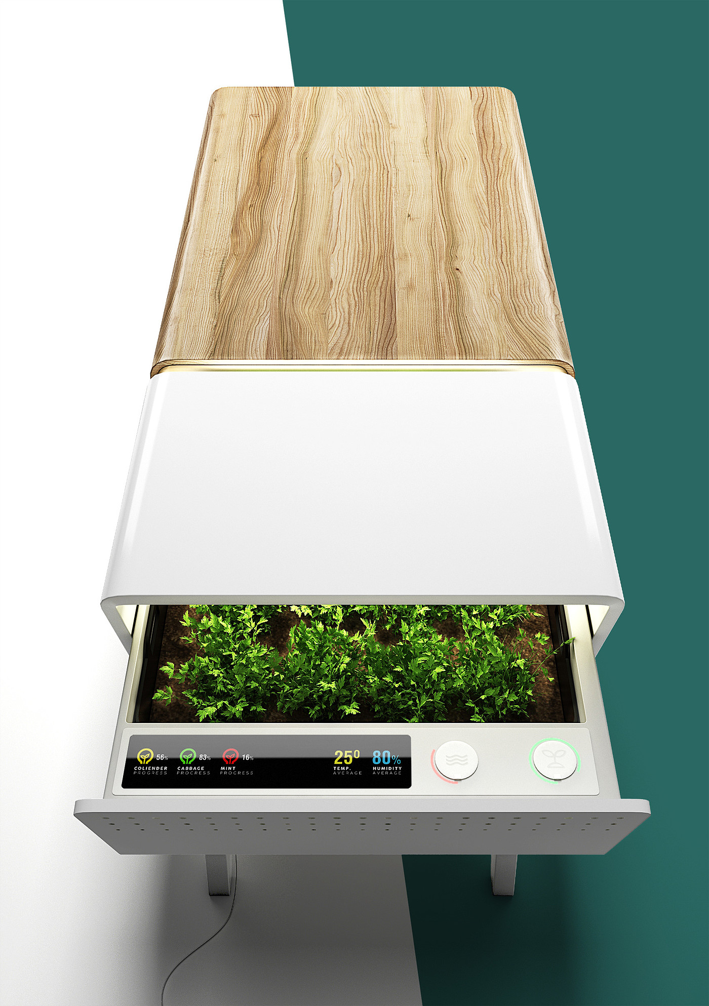 ecological design ，table，SOLE，