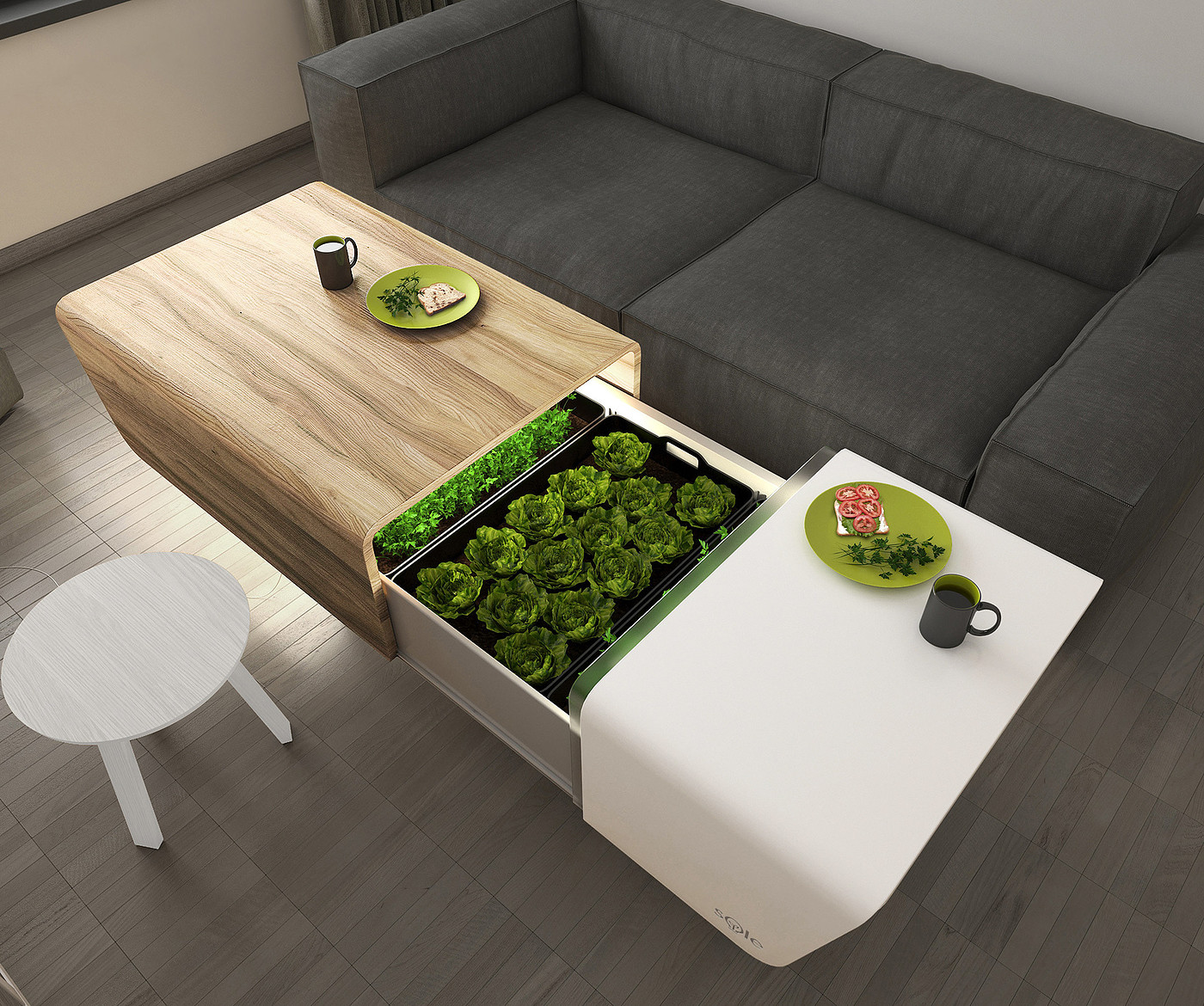 ecological design ，table，SOLE，