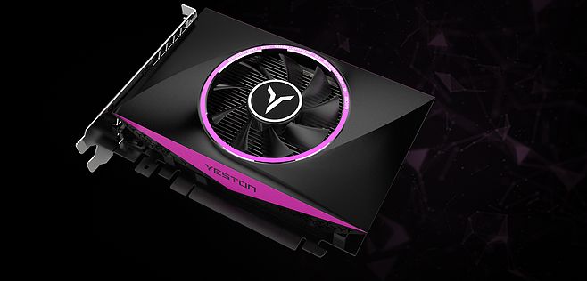 Yingtong, graphics card, women's wear boss, straight man, Barbie Lori，