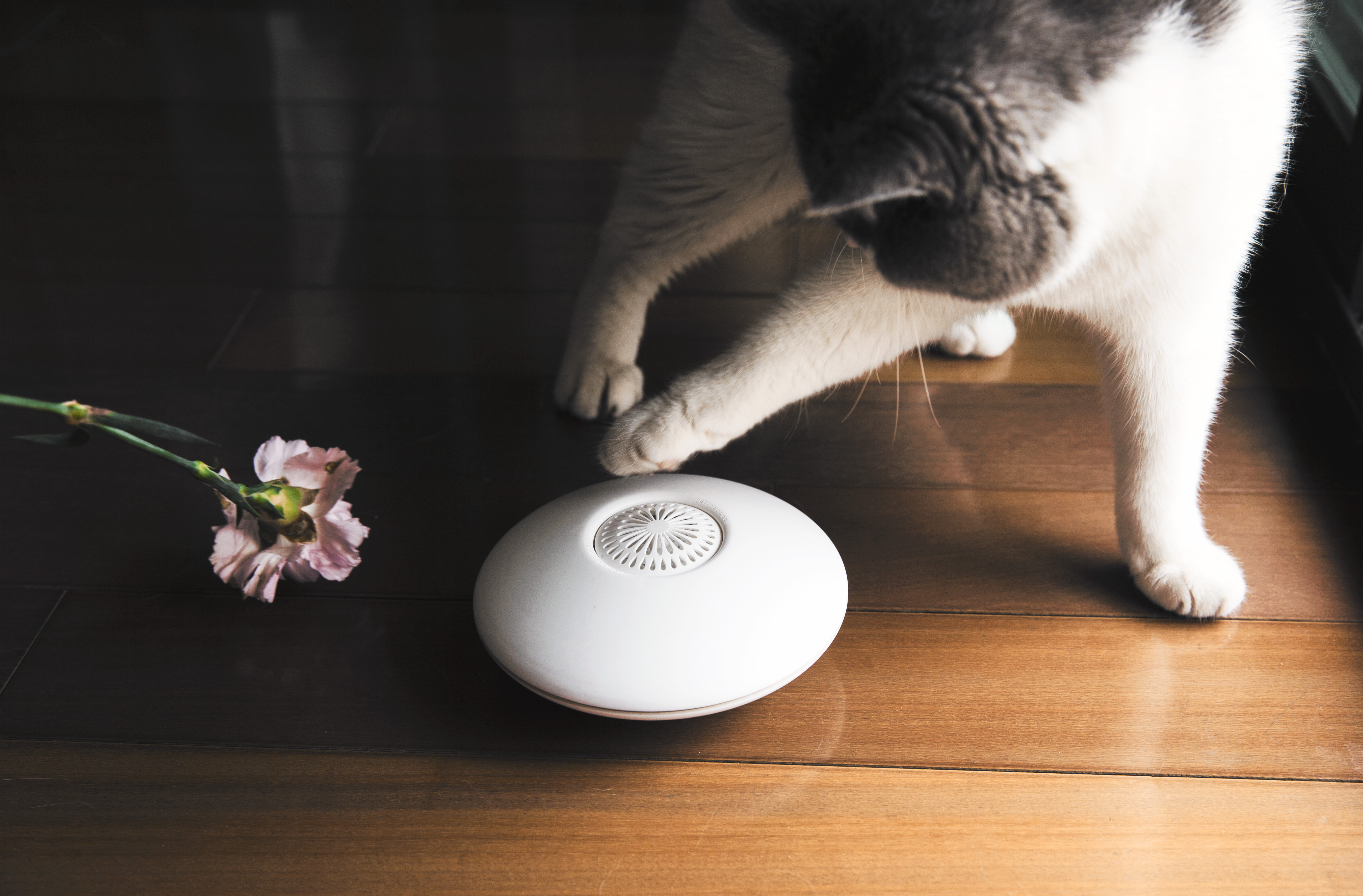 Small space，Aromatherapy machine，EVA flavor，Three models，Aromatherapy capsule general，