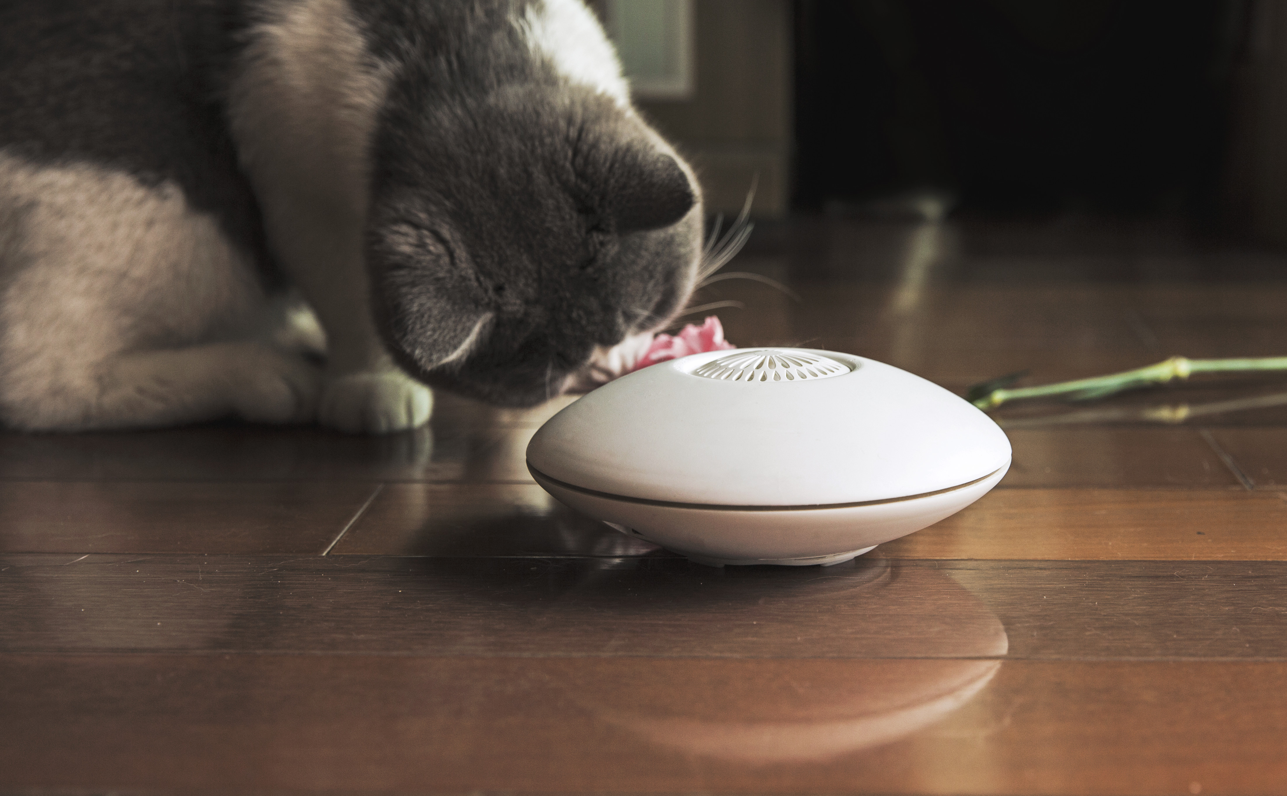 Small space，Aromatherapy machine，EVA flavor，Three models，Aromatherapy capsule general，