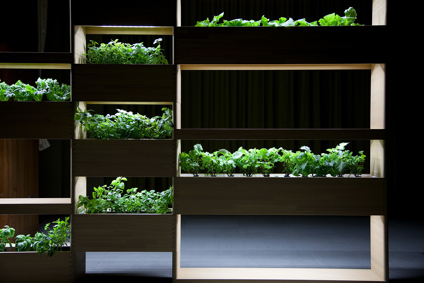 IMAGINARY，furniture design ，woodiness，