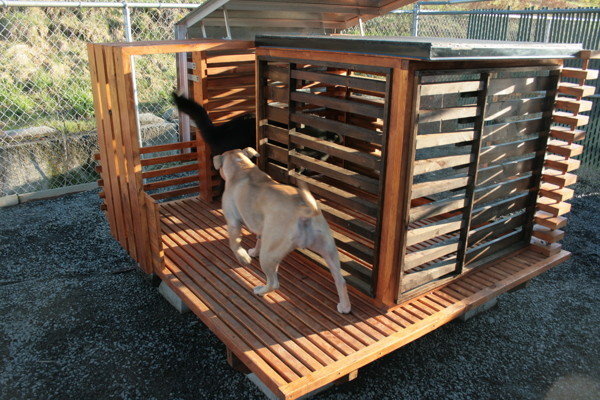 kennel，Home Furnishing，furniture，Pets，