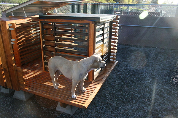 kennel，Home Furnishing，furniture，Pets，