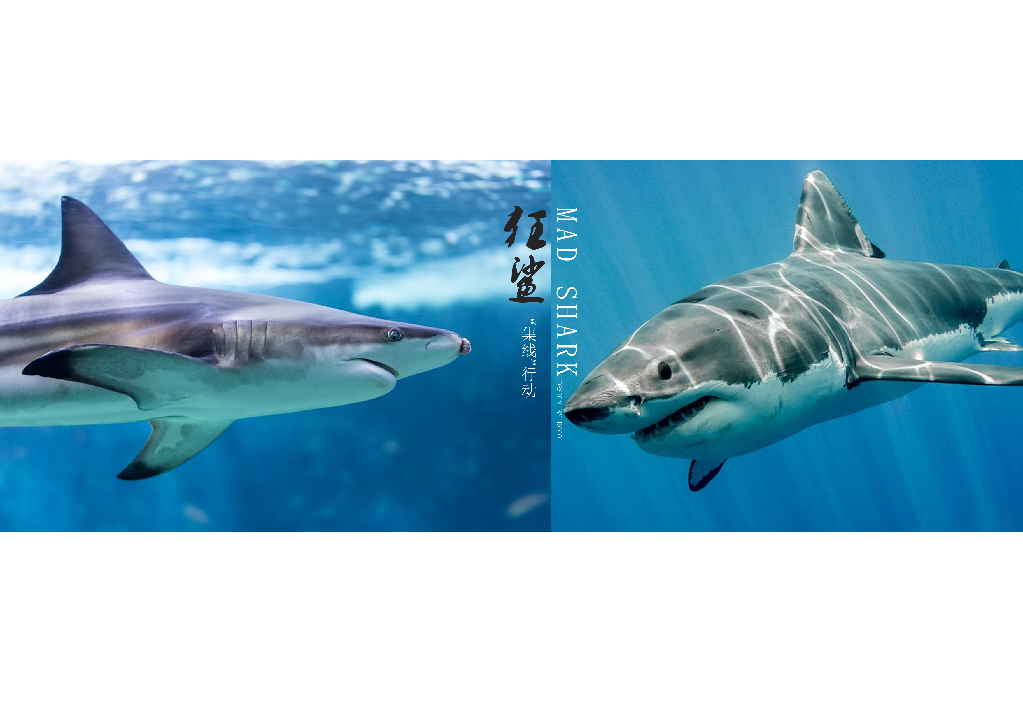 Line management，Data cable storage，Digital peripheral，