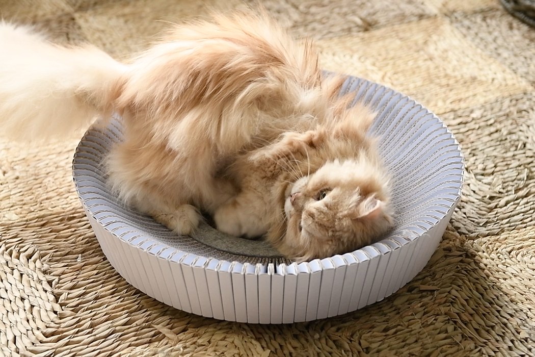 felt，assemble，removable，Cat nest，KATRIS Nest，