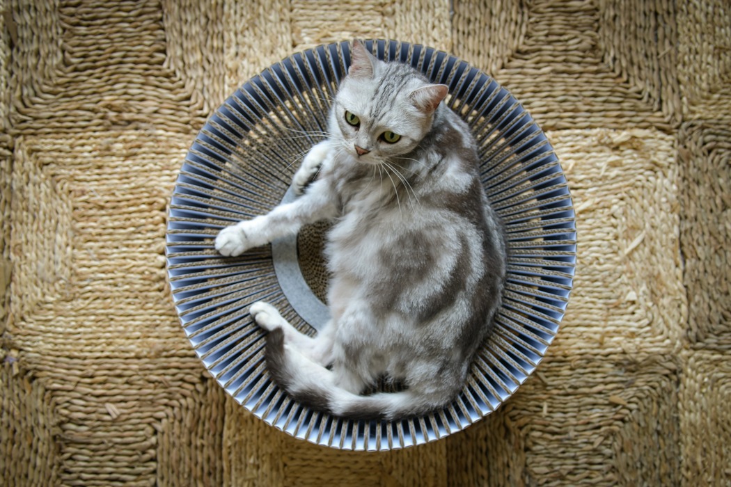 felt，assemble，removable，Cat nest，KATRIS Nest，