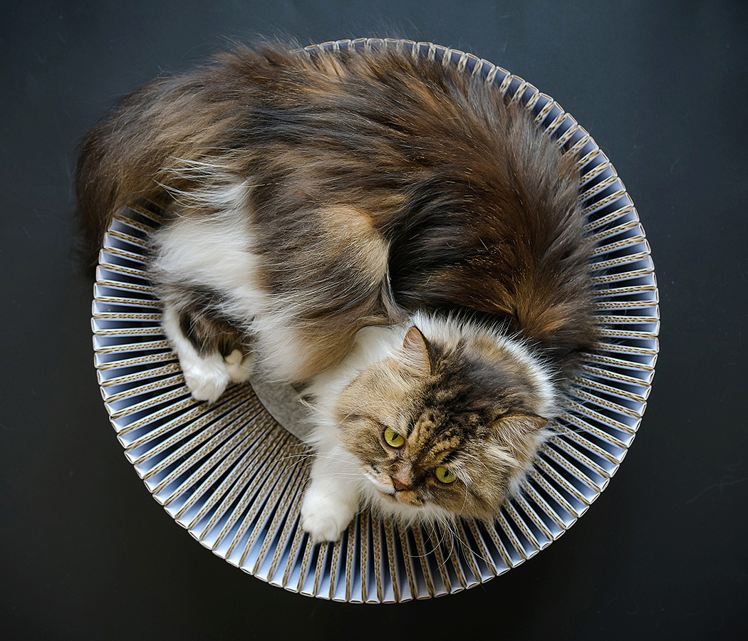 felt，assemble，removable，Cat nest，KATRIS Nest，