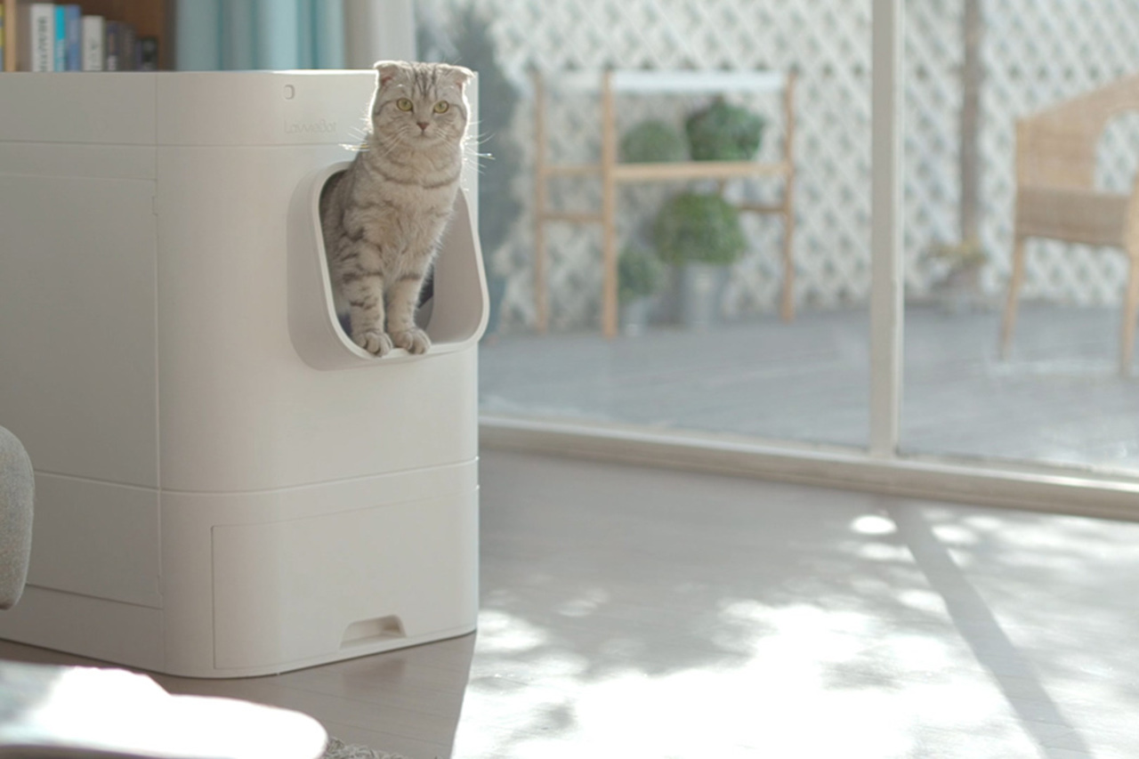 Lavviebot S自动清洁猫砂箱，跟您的爱猫对话吧~ - 普象网