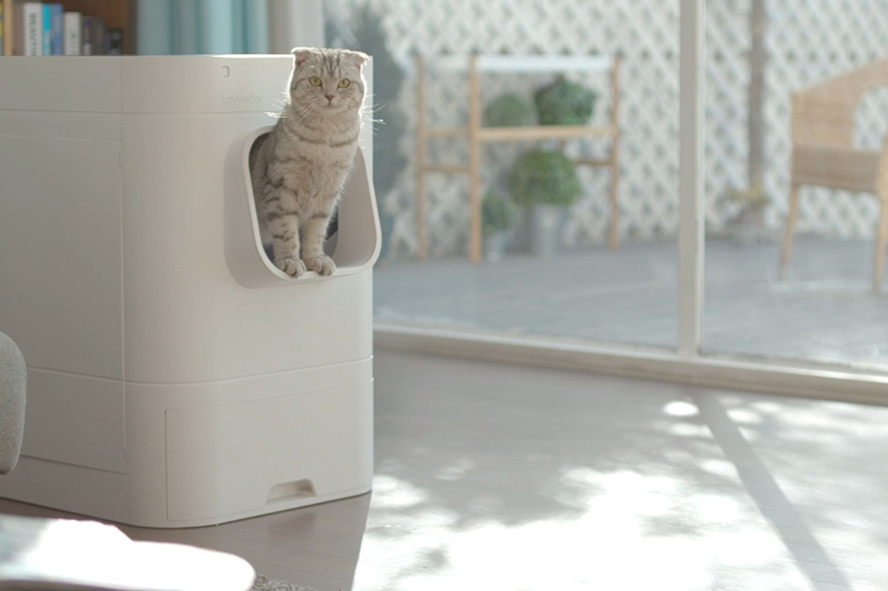 Lavviebot S自动清洁猫砂箱 跟您的爱猫对话吧 普象网