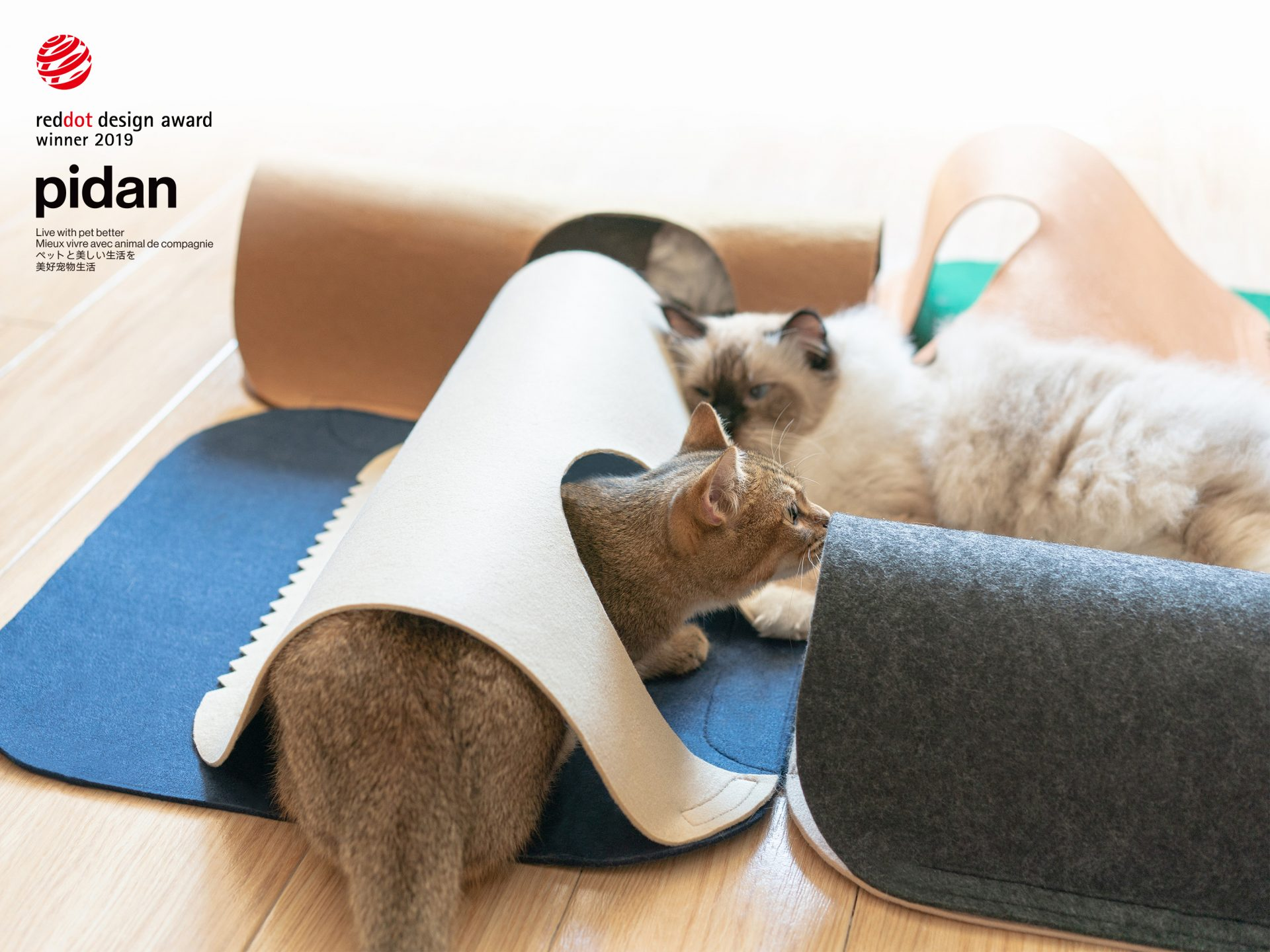 2019红点产品设计大奖,红点奖,reddot,宠物,羊毛颤,pidan,猫咪,地毯