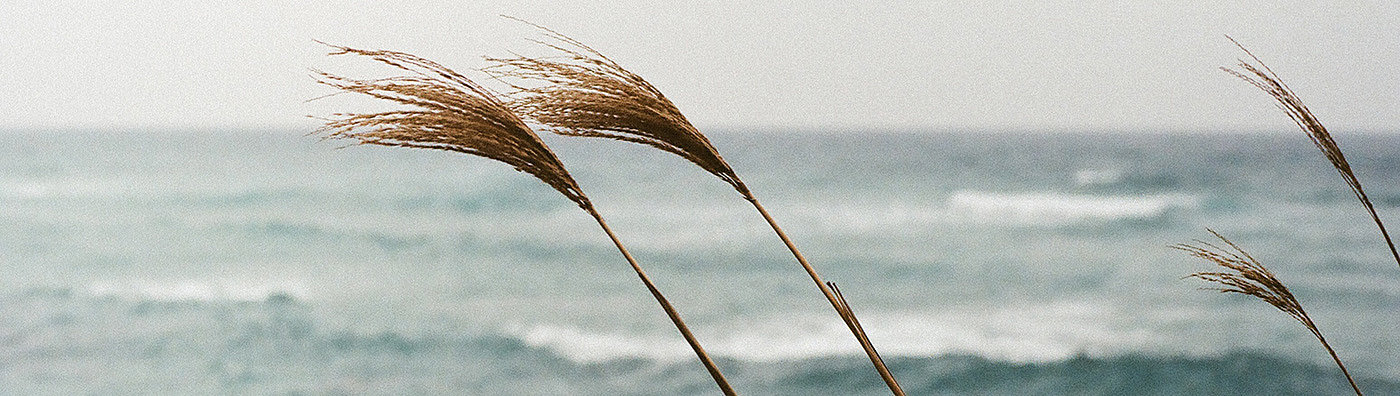 无线充电器，台式风扇，风力发电机，Wind of Jeju，