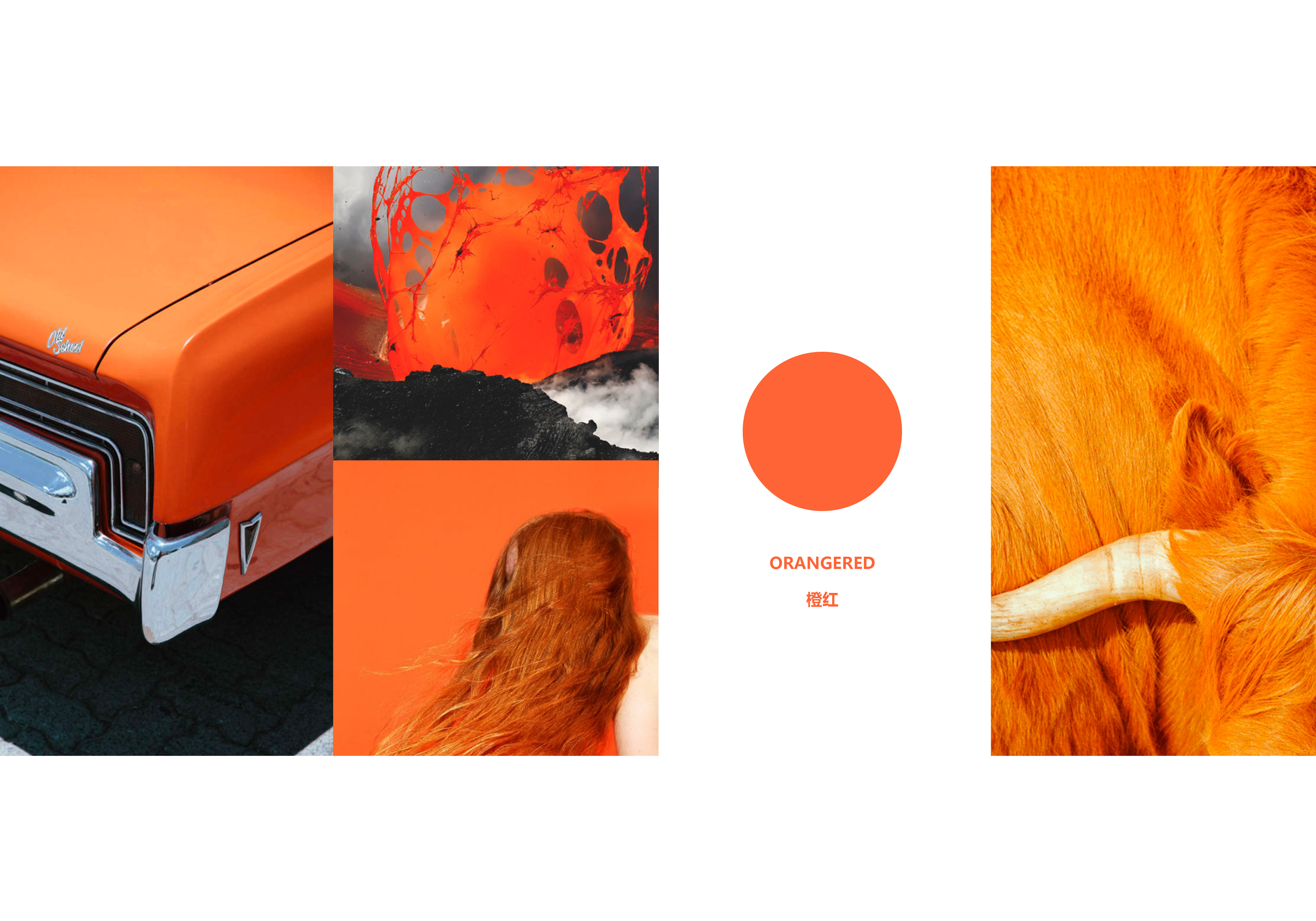 Retro，Micro investment，interest，gift，