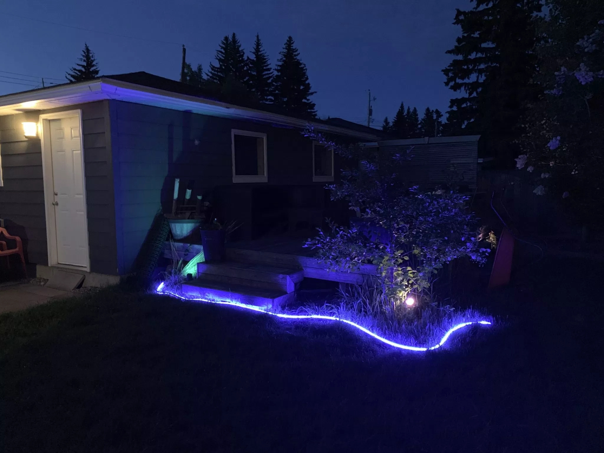 2019 red dot product design award，philips，Philips，reddot，