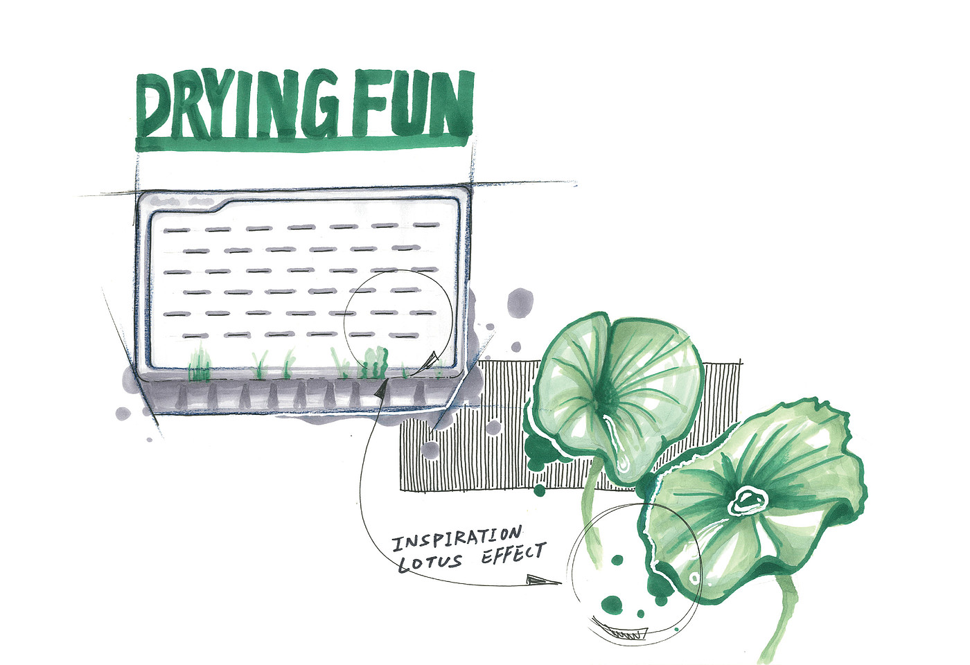环保系统，植物，Drying Fun，