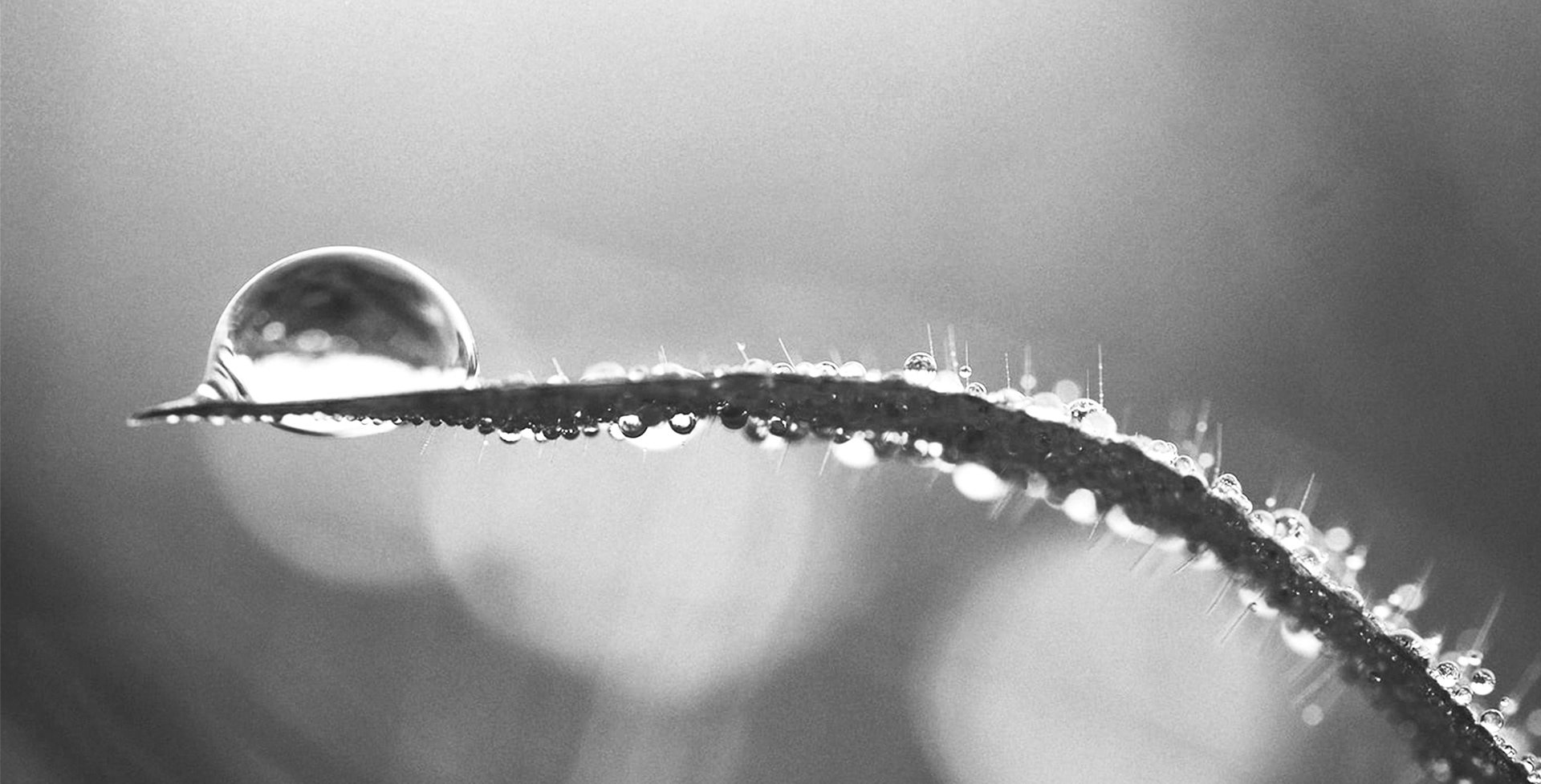 lamp，Design，Floor lamp，On the edge，