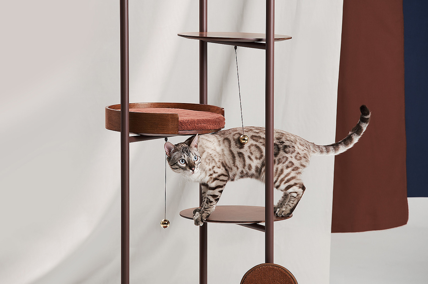 brown，Cat house，Three Poles，