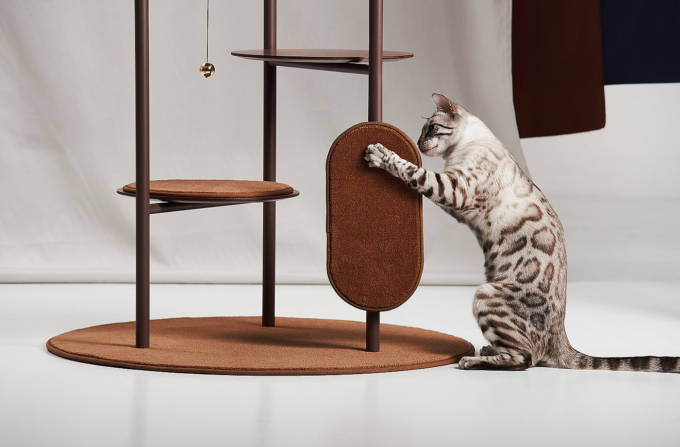 brown，Cat house，Three Poles，