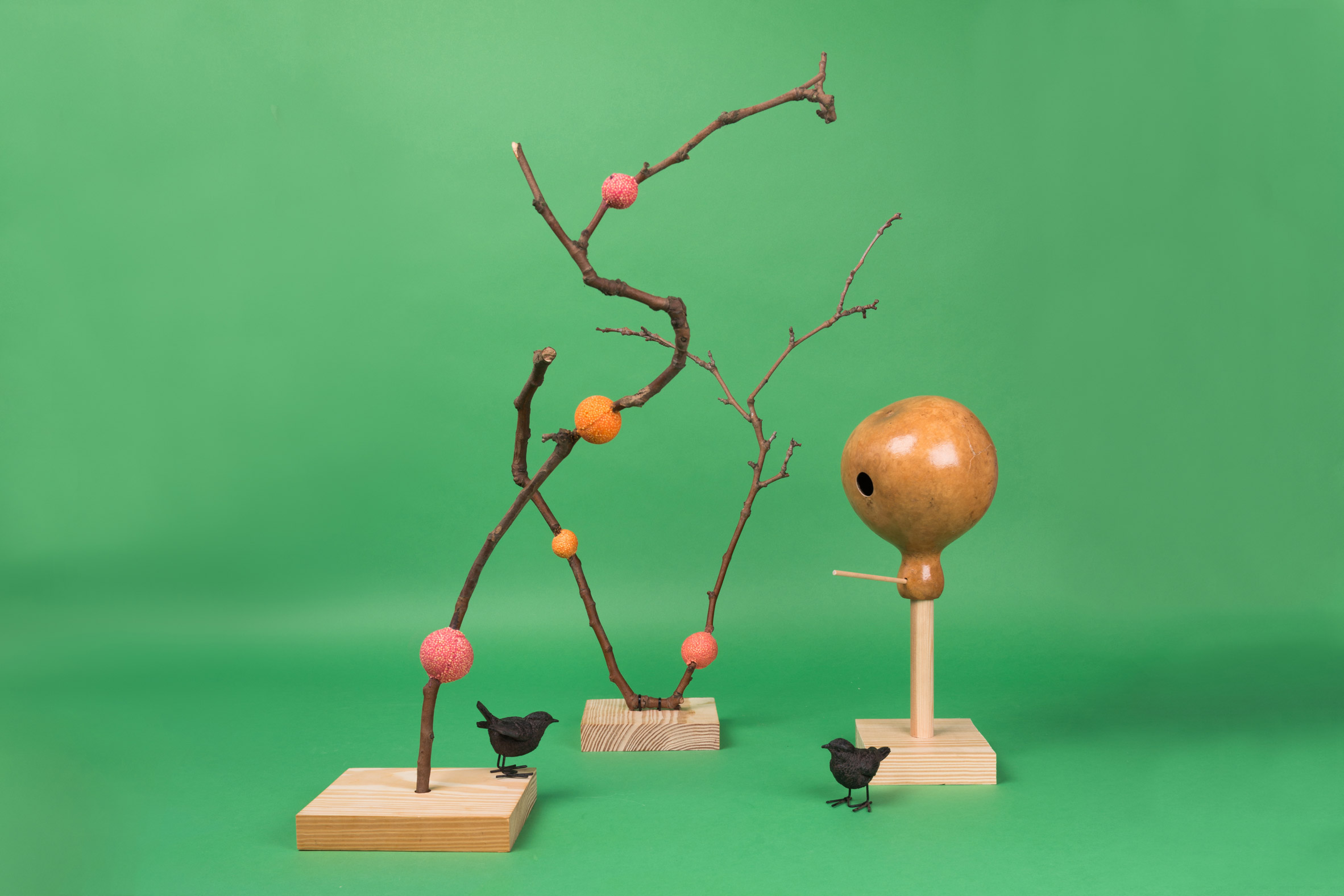 Nature Scenes，Landscape design，environmental design，