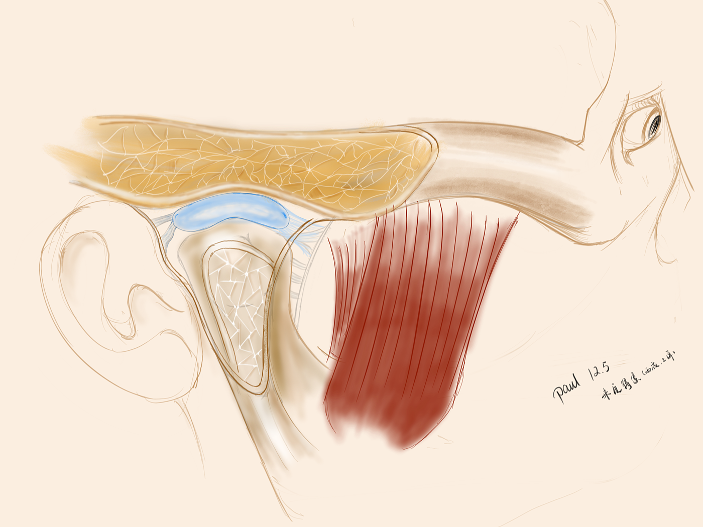 Medical illustration，medical apparatus and instruments，Posters，