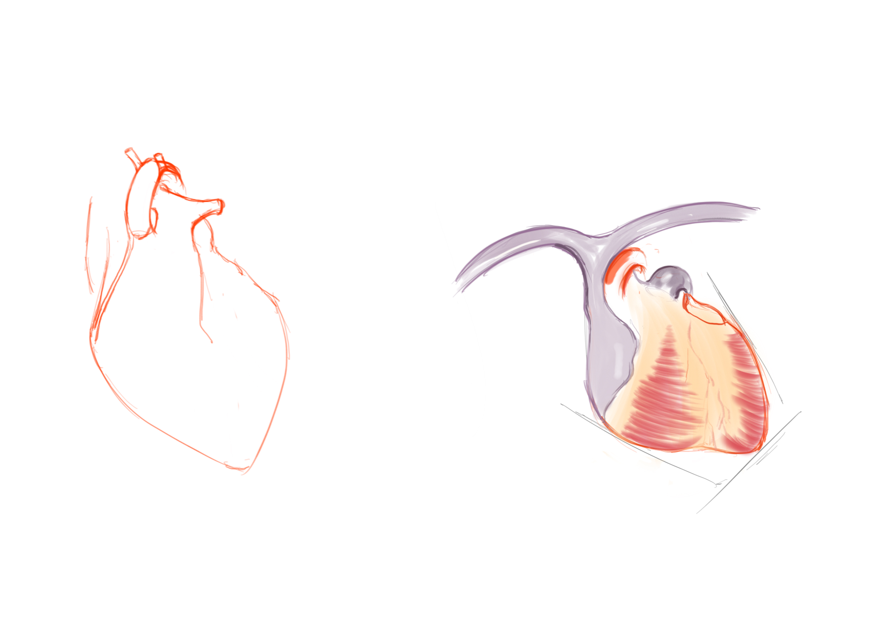 Medical illustration，medical apparatus and instruments，Posters，