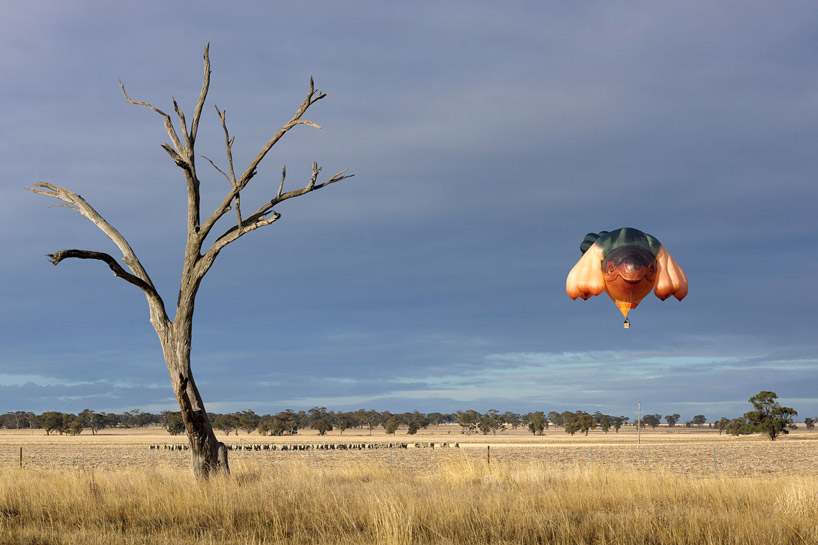 Hot Air Balloon，outdoors，motion，