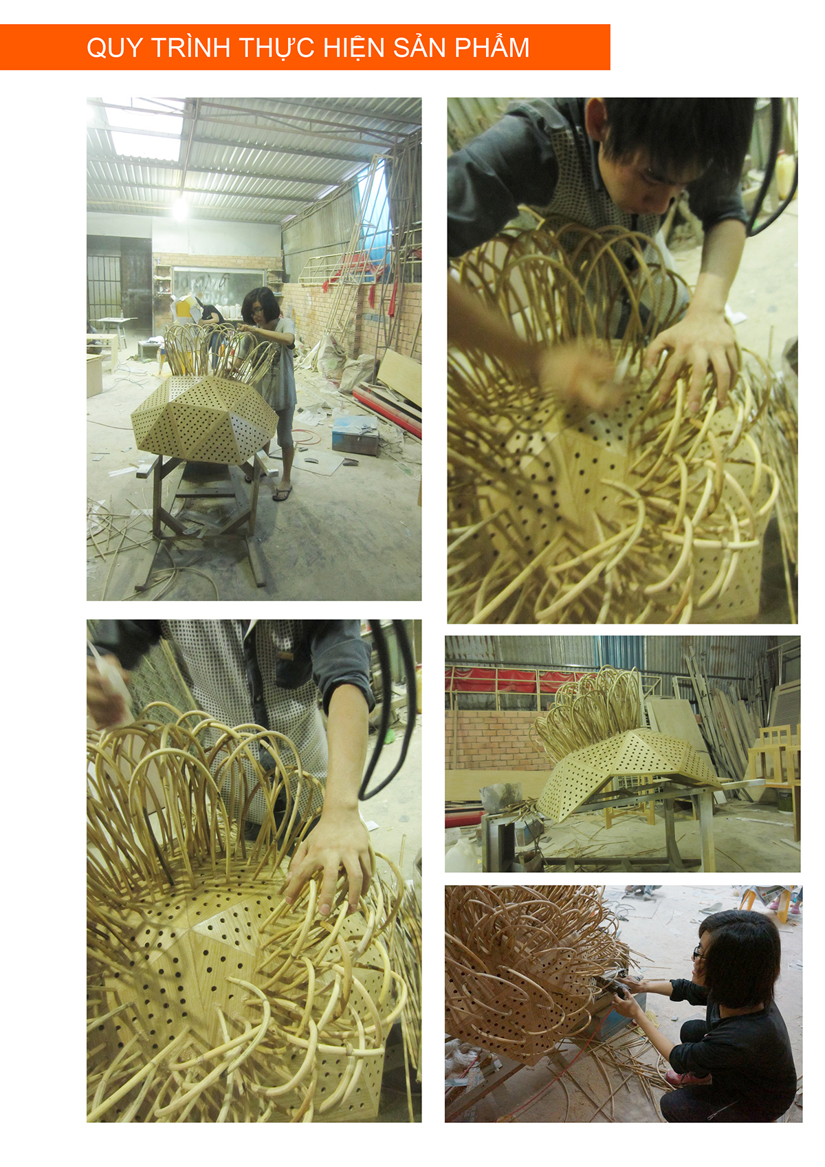 bionics，wood，product design，