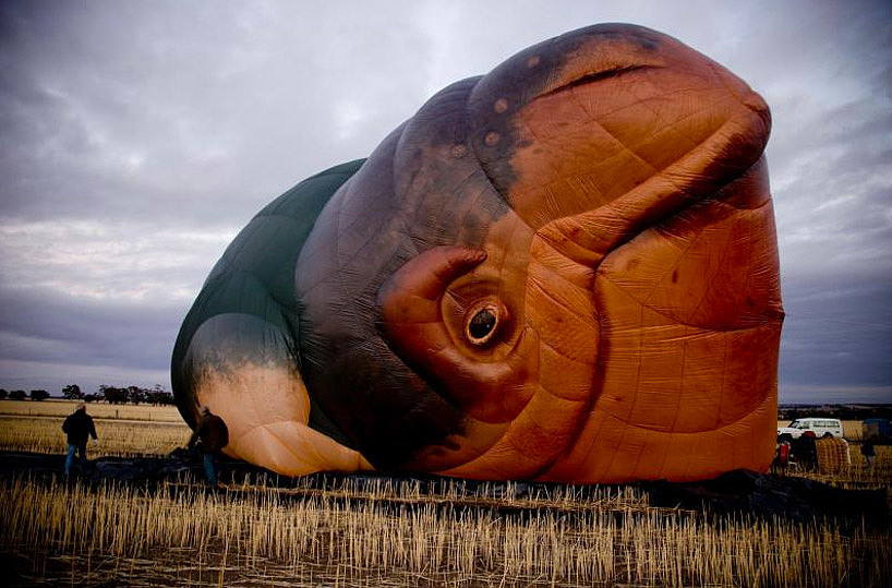 Hot Air Balloon，outdoors，motion，