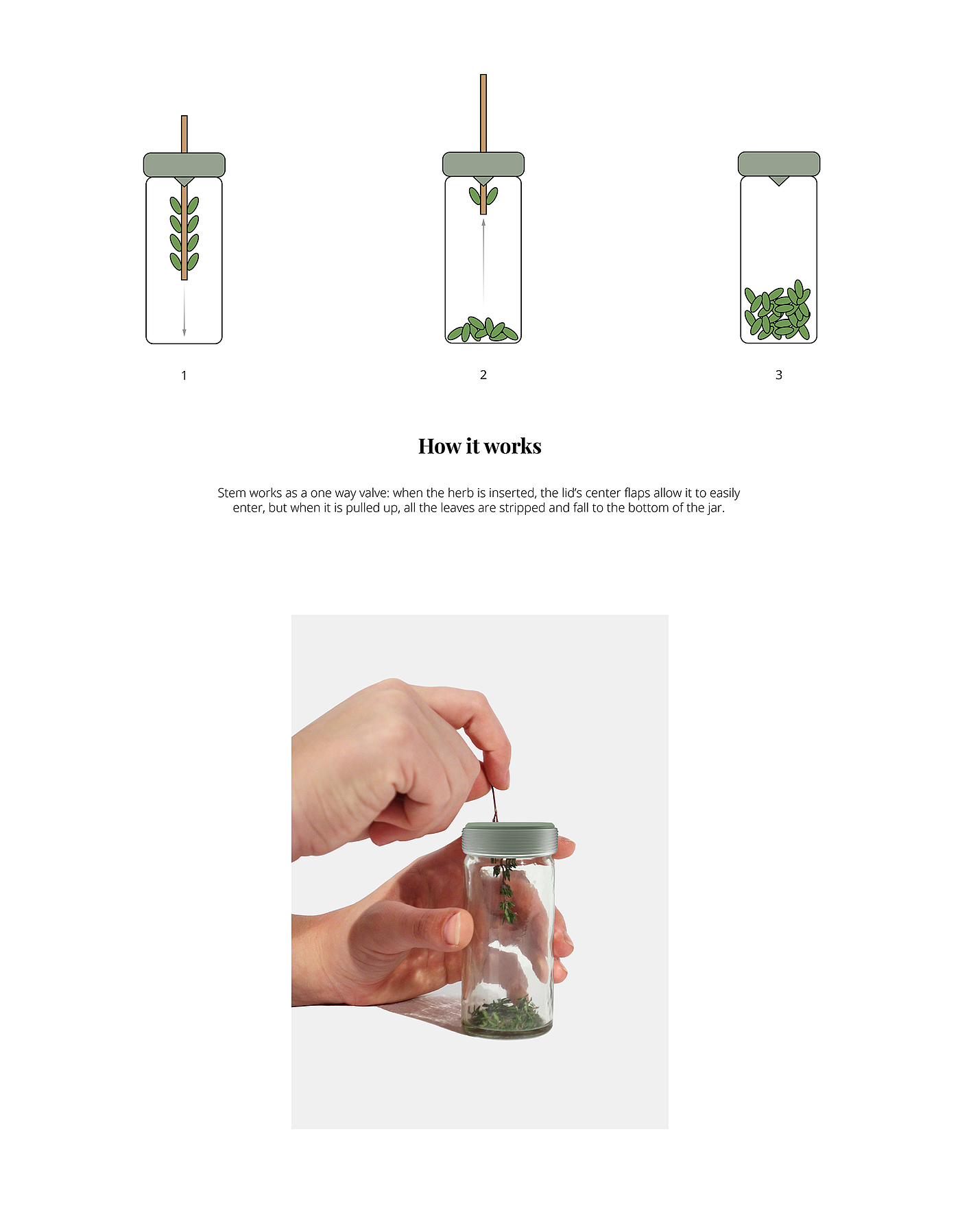 Design，Herbal medicine，Stripper，herbaceous，