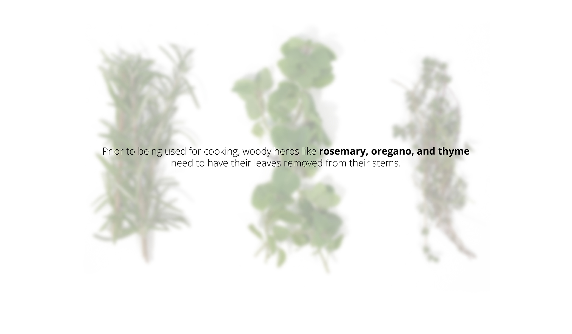 Design，Herbal medicine，Stripper，herbaceous，