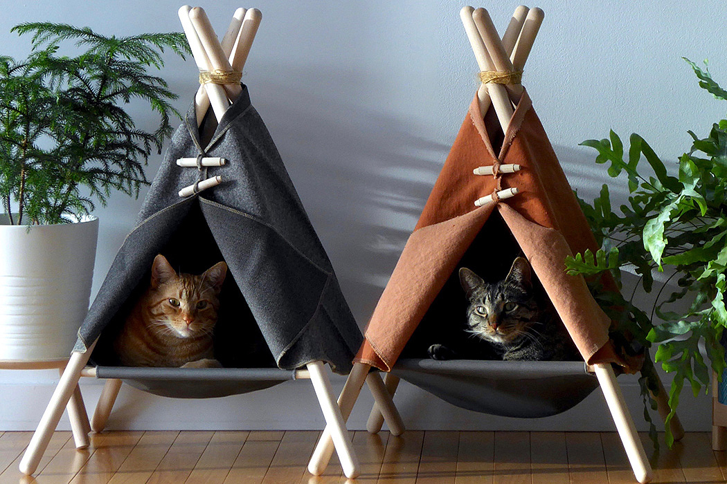 room，kitten，play，Cat nest，