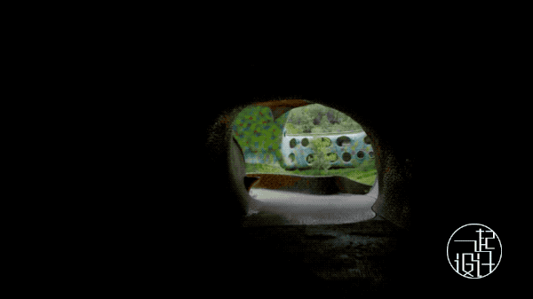 Organic building，Javier Senosiain，Naucalpan，Organic house，