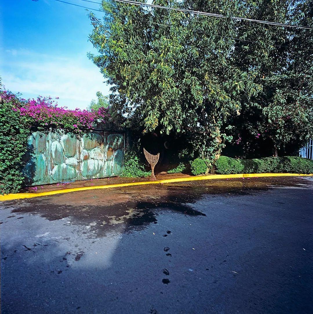 有机建筑，Javier Senosiain，Naucalpan，La Casa Orgánica，