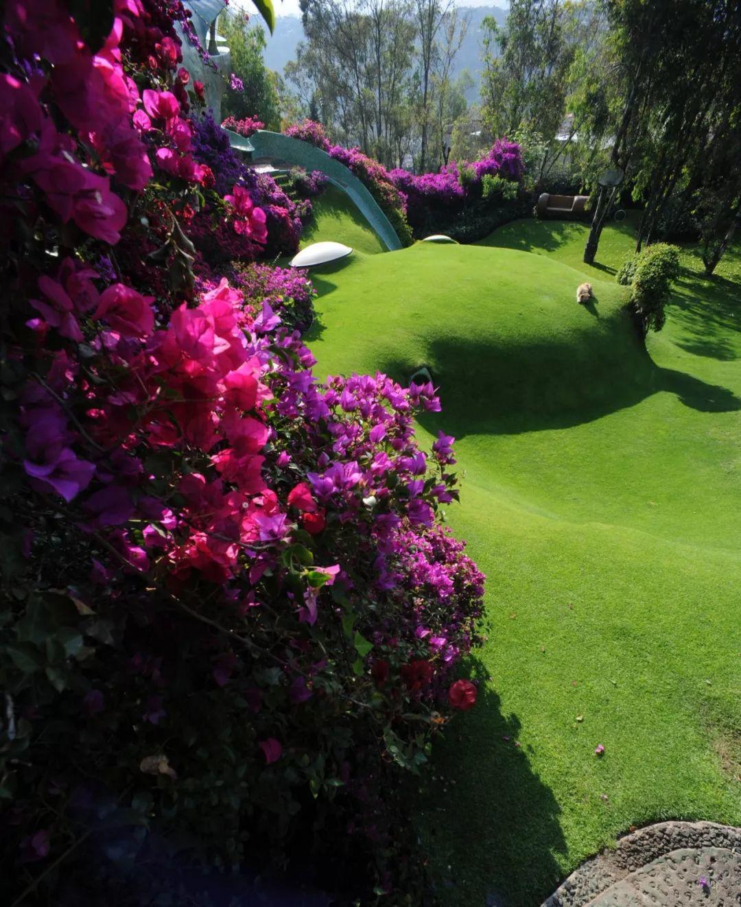 Organic building，Javier Senosiain，Naucalpan，Organic house，