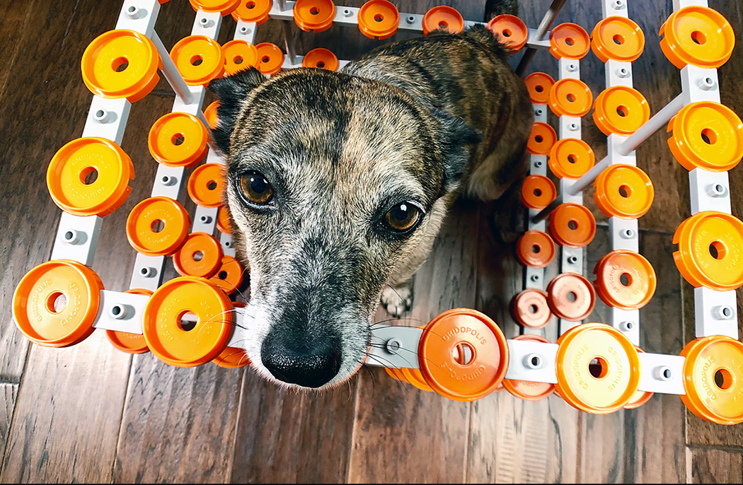 Toys，Trivial Pursuit Unhinged，3D splicing，Gridopolis，