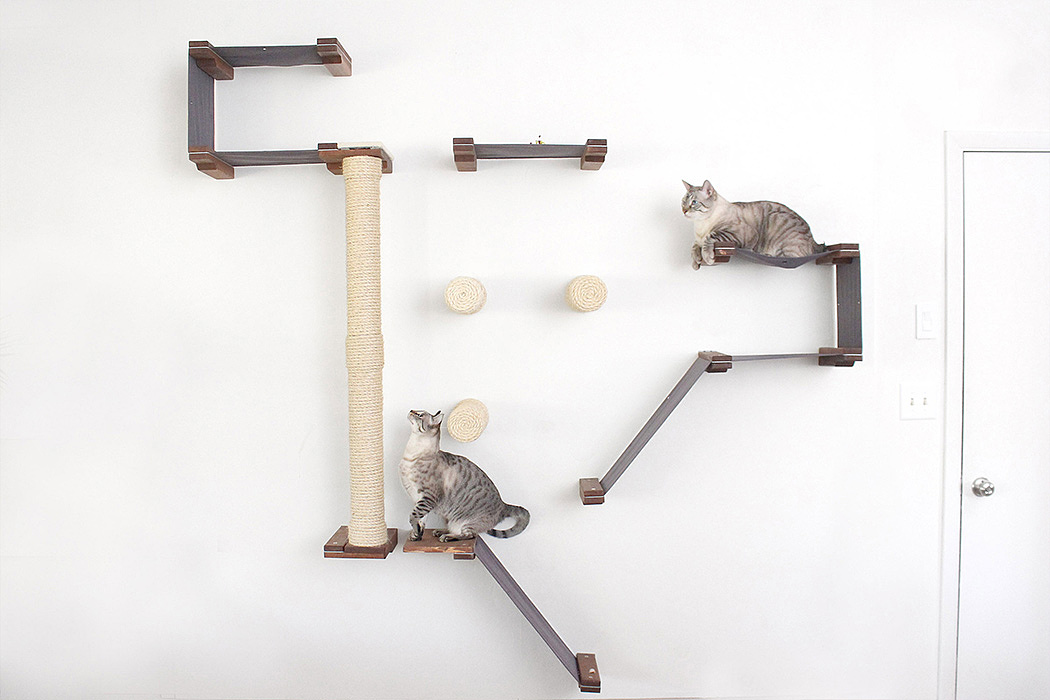 小猫，NEHA MISTRY，凯里广场猫床工作室，猫科定制模型，