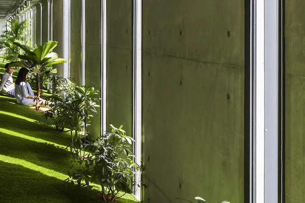 建筑设计，室内设计，绿色植物，