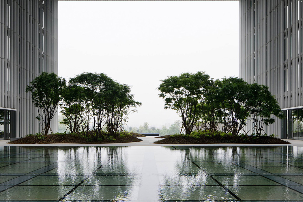 Architectural design，Interior design，Green plants，