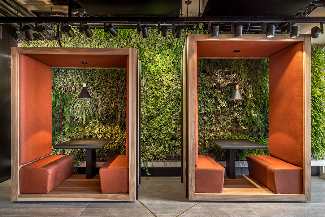 Architectural design，Interior design，Green plants，