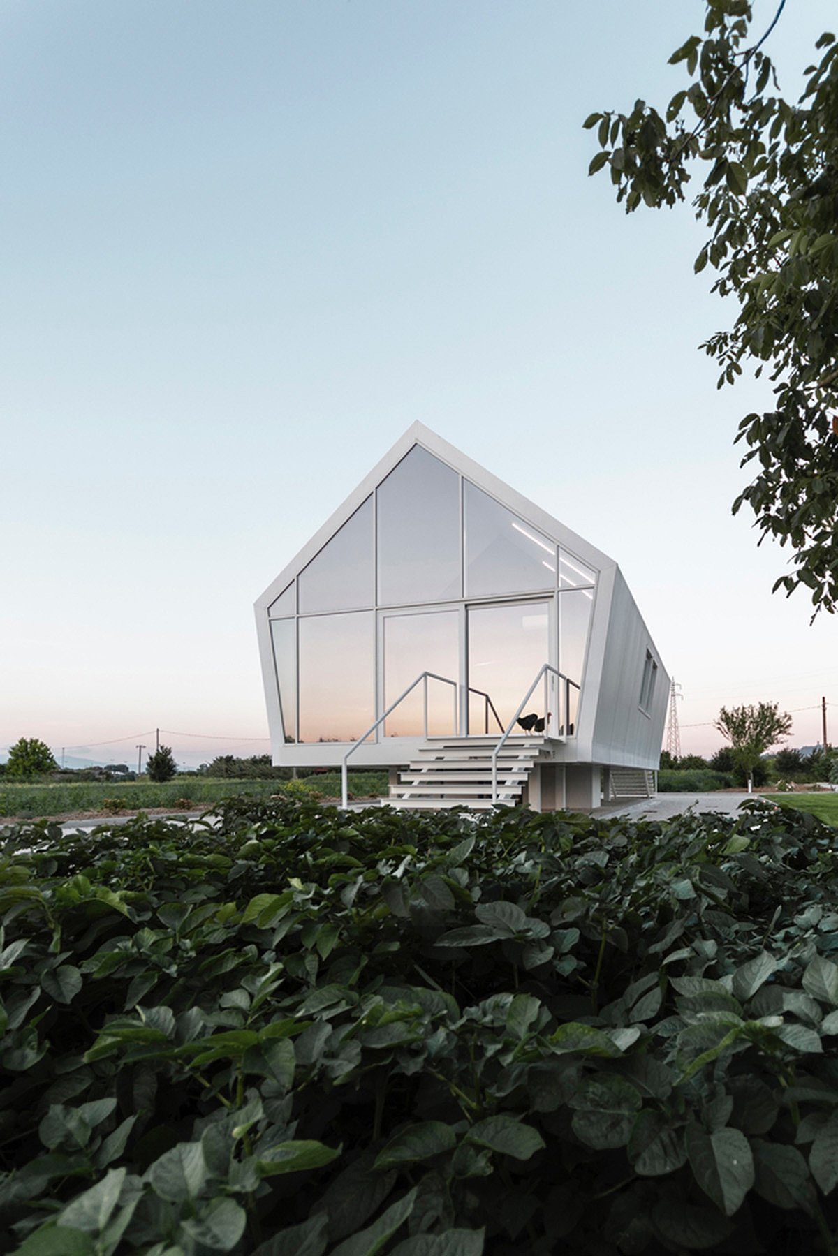 house，orchard，experiment，