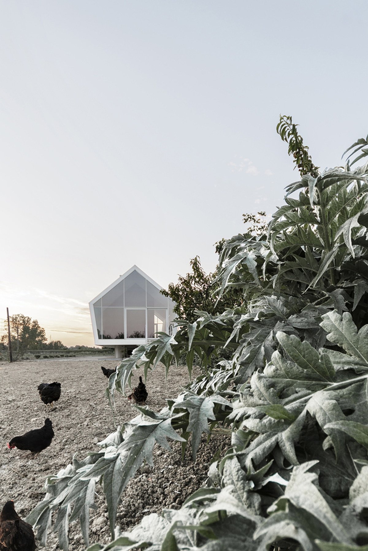 house，orchard，experiment，