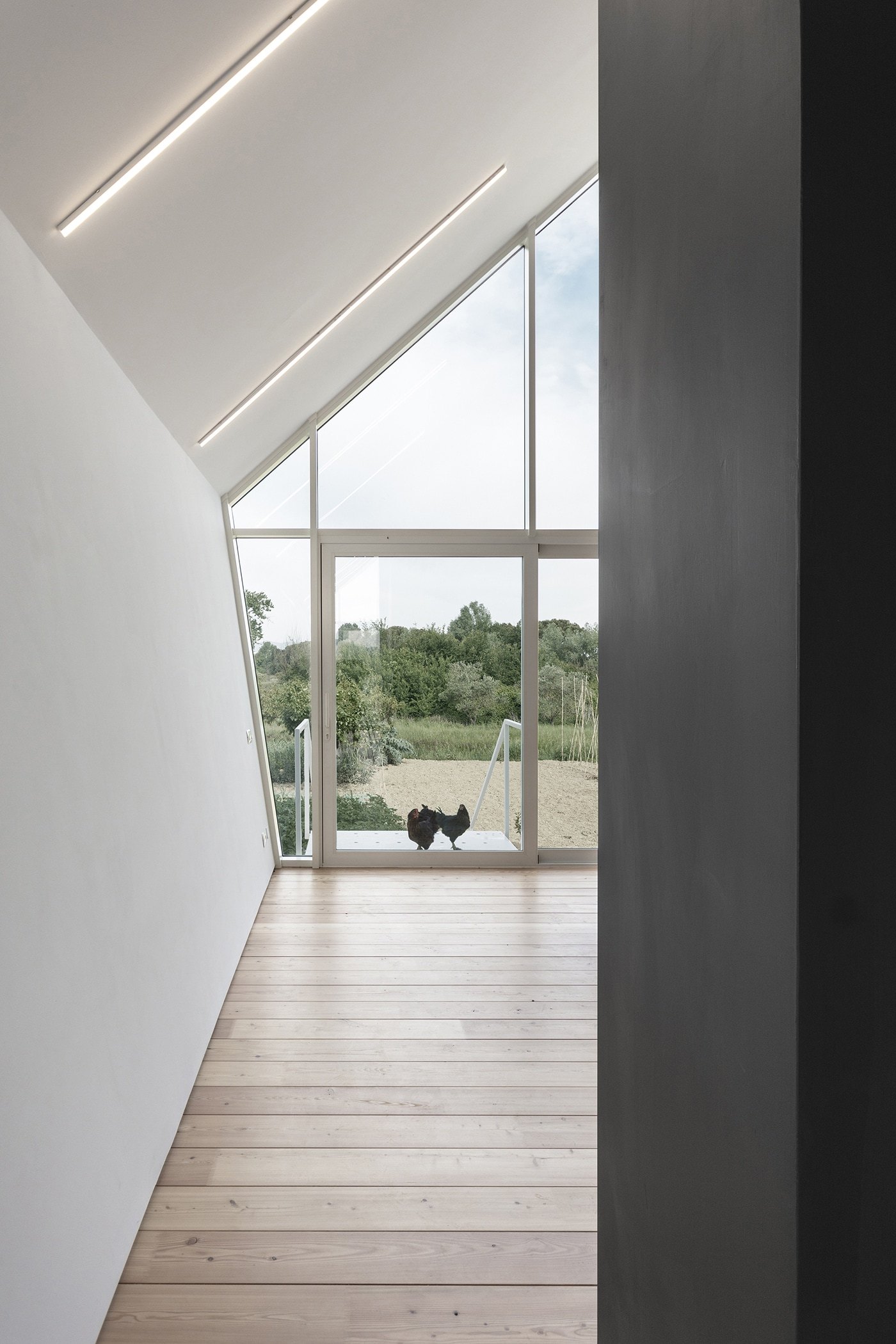 house，orchard，experiment，