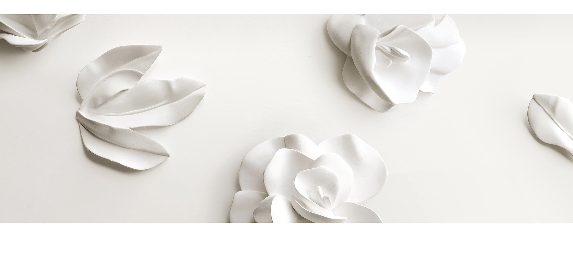 decorate，carving，flower，Design，