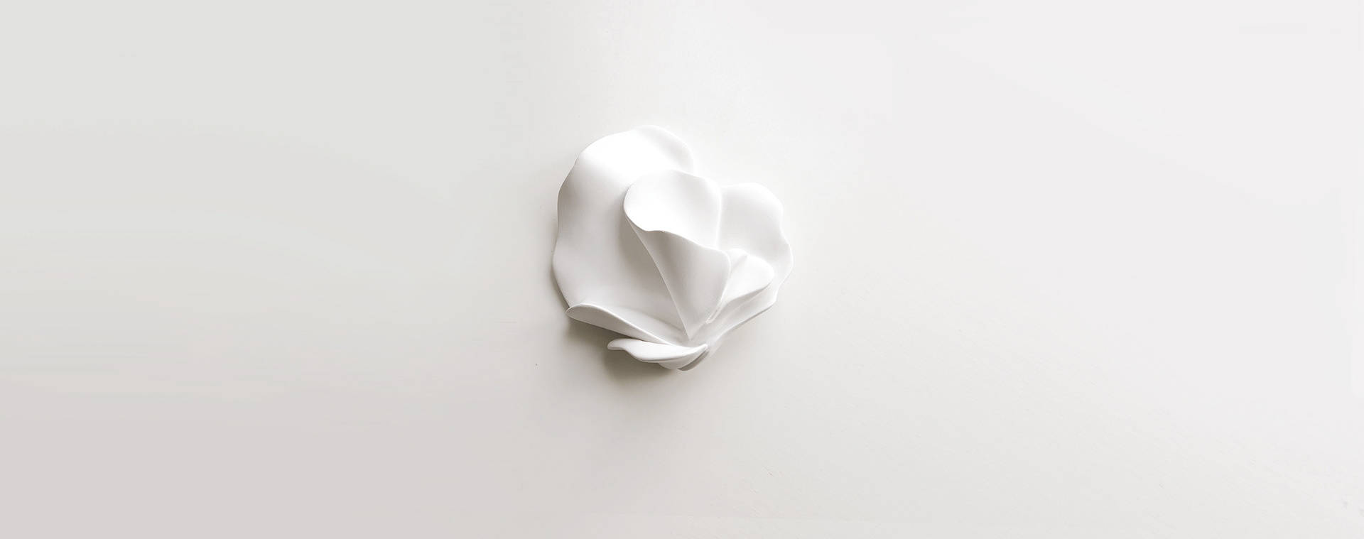 decorate，carving，flower，Design，