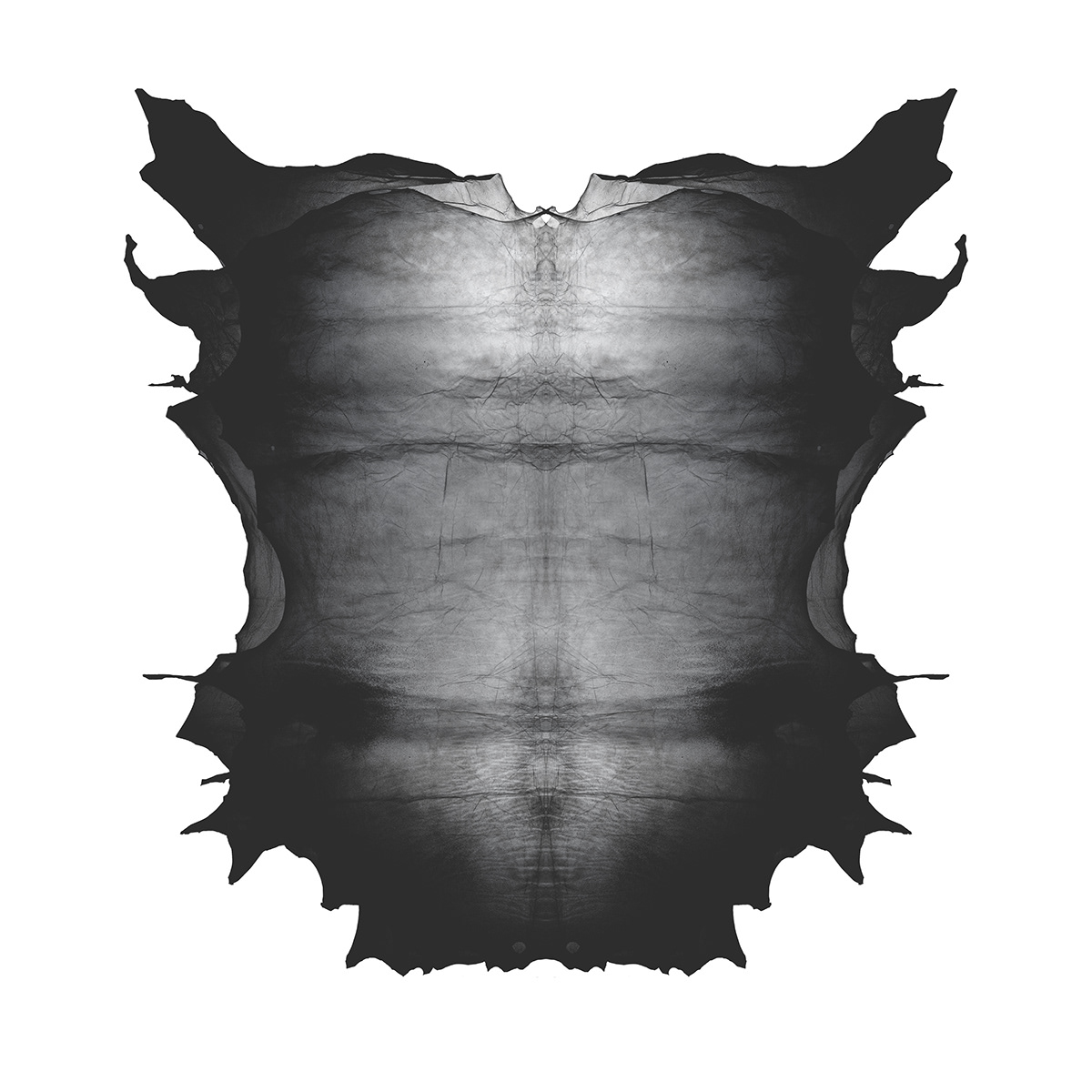 Translucent leather，Material Science，Clothes & Accessories，