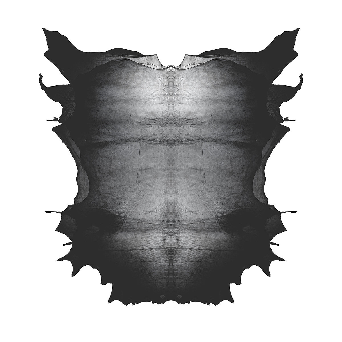 Translucent leather，Material Science，Clothes & Accessories，